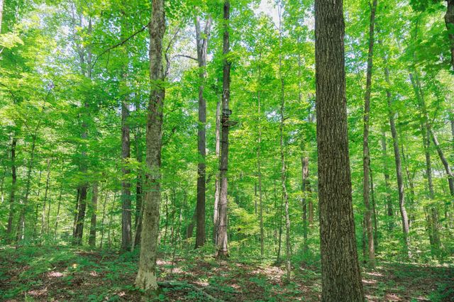 4335 Highway 48, N, Nunnelly, TN 37137