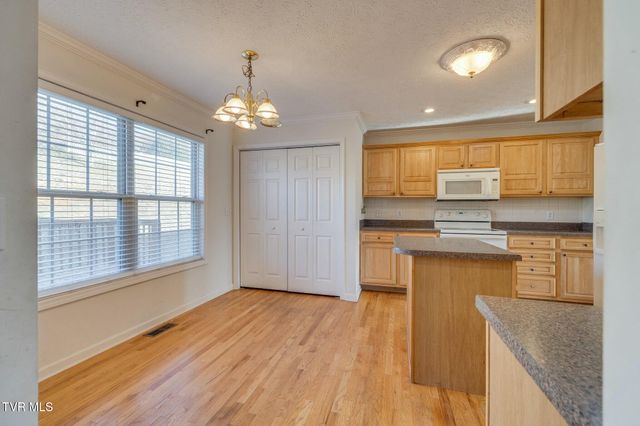 137 Austin Ridge Court, Gray, TN 37615