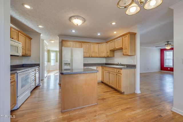 137 Austin Ridge Court, Gray, TN 37615