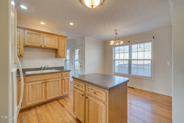 137 Austin Ridge Court, Gray, TN 37615