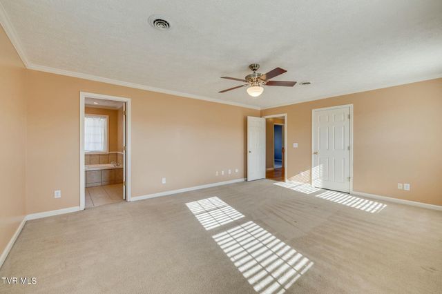 137 Austin Ridge Court, Gray, TN 37615