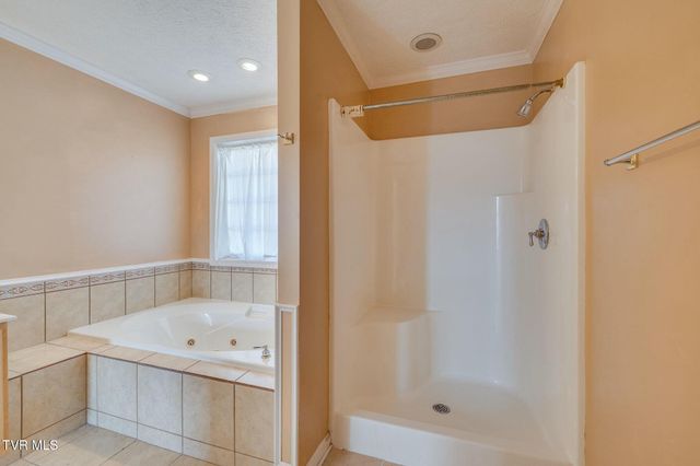 137 Austin Ridge Court, Gray, TN 37615