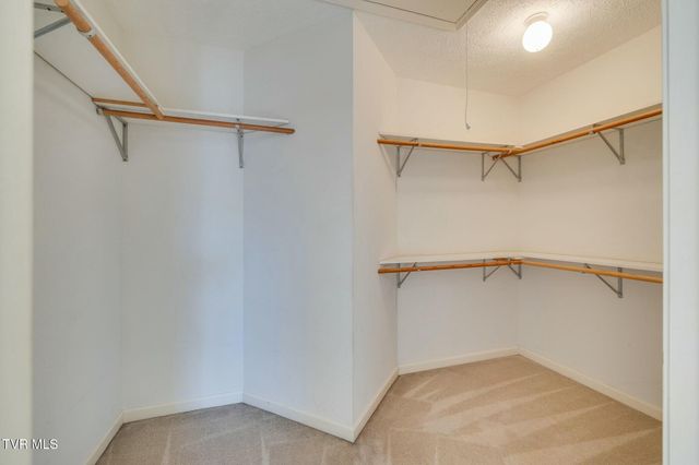 137 Austin Ridge Court, Gray, TN 37615