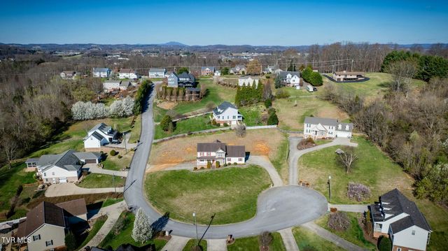 137 Austin Ridge Court, Gray, TN 37615