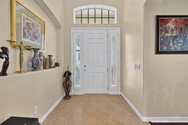 316 HARTS OAK PLACE, Seffner, FL 33584