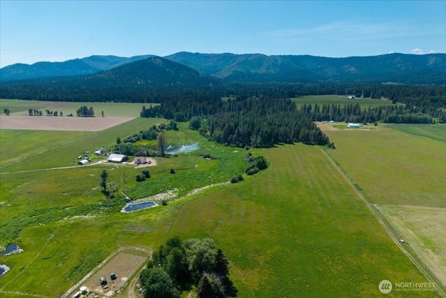 4668 Williams Valley Road, Clayton, WA 99110