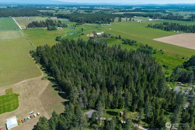 4668 Williams Valley Road, Clayton, WA 99110