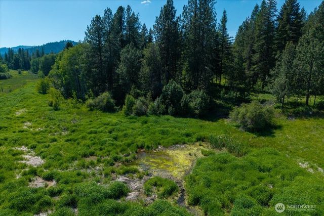 4668 Williams Valley Road, Clayton, WA 99110