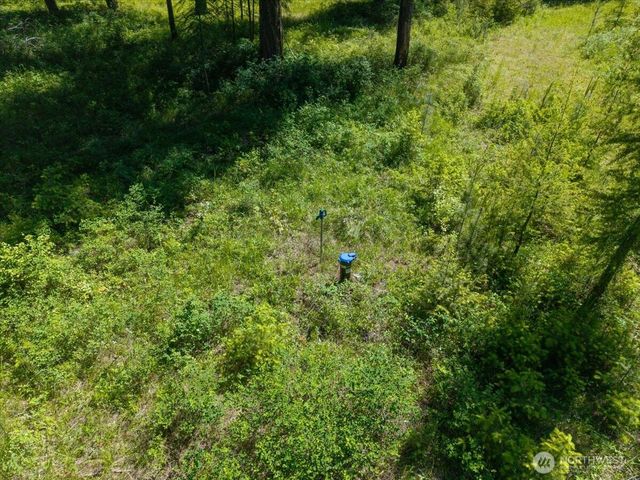 4668 Williams Valley Road, Clayton, WA 99110