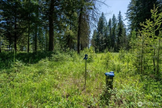 4668 Williams Valley Road, Clayton, WA 99110