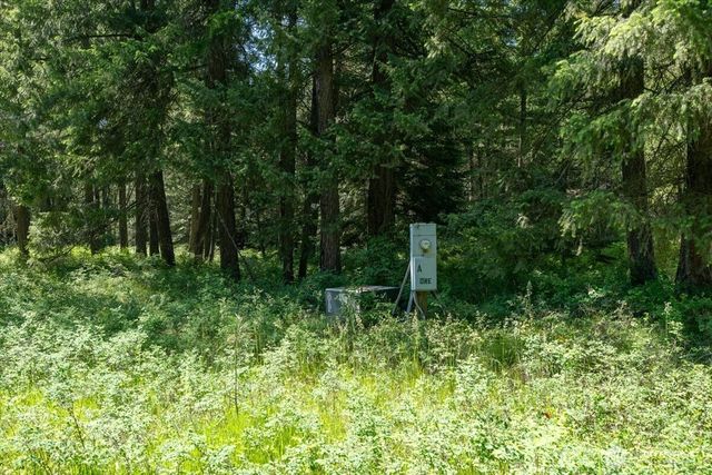 4668 Williams Valley Road, Clayton, WA 99110