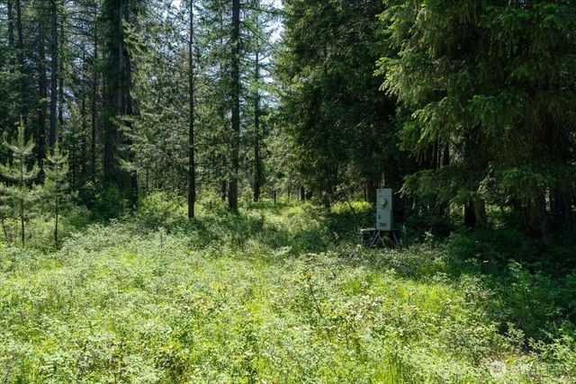 4668 Williams Valley Road, Clayton, WA 99110