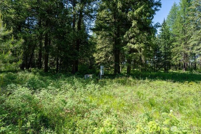 4668 Williams Valley Road, Clayton, WA 99110