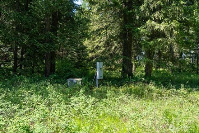 4668 Williams Valley Road, Clayton, WA 99110