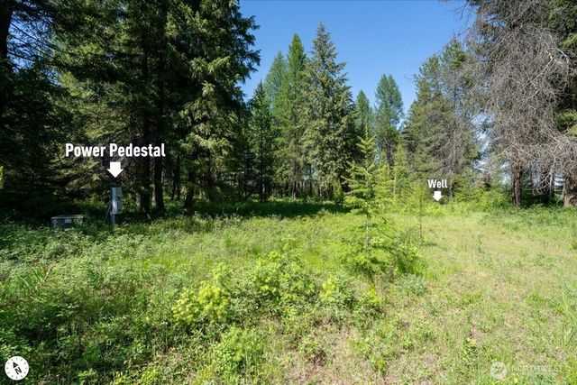 4668 Williams Valley Road, Clayton, WA 99110