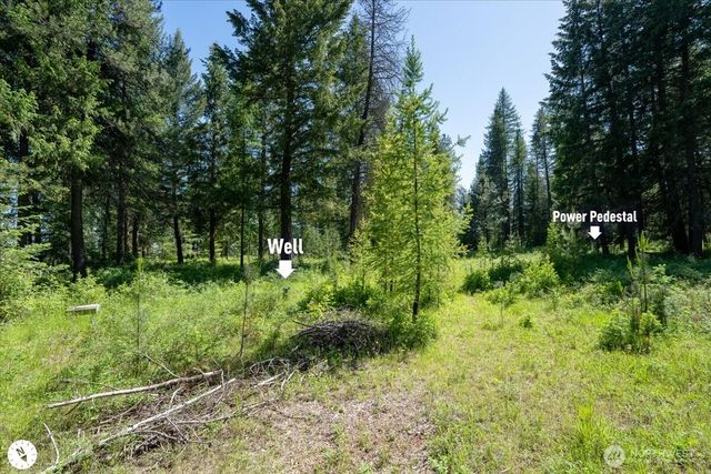 4668 Williams Valley Road, Clayton, WA 99110