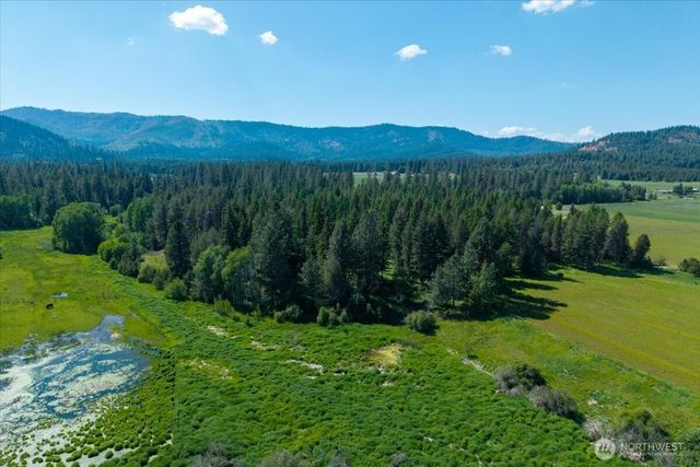 4668 Williams Valley Road, Clayton, WA 99110