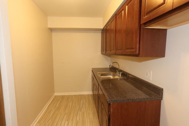 1040 W HOLLYWOOD Avenue 210, Chicago, IL 60660