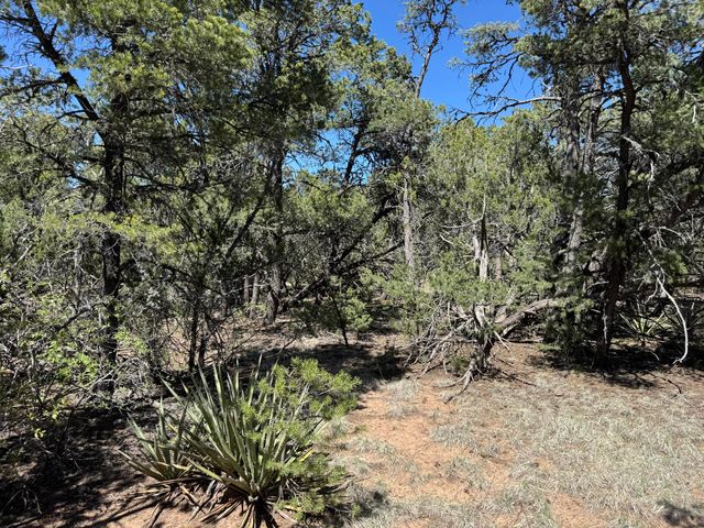 Tract 3 Gonzales Road, Edgewood, NM 87015