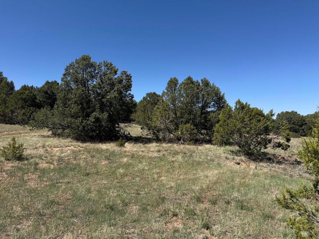 Tract 3 Gonzales Road, Edgewood, NM 87015