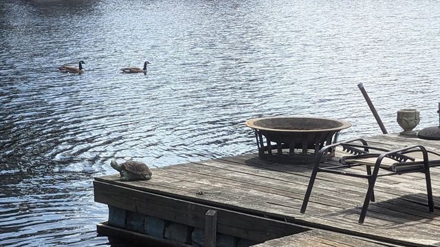 10 Coral Hill Rd, Essex, MA 01929