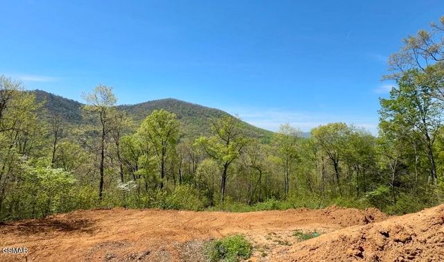 520 Stevia Way, Cosby, TN 37722