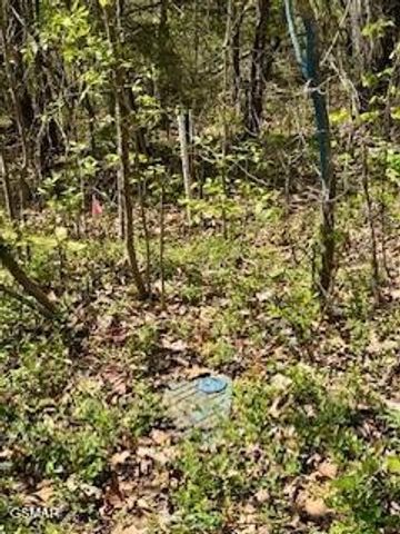 520 Stevia Way, Cosby, TN 37722