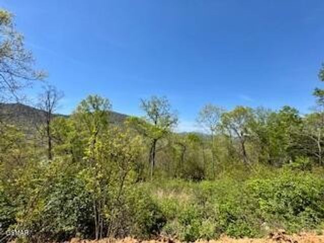 520 Stevia Way, Cosby, TN 37722