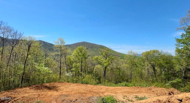 520 Stevia Way, Cosby, TN 37722