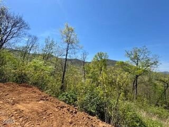 520 Stevia Way, Cosby, TN 37722