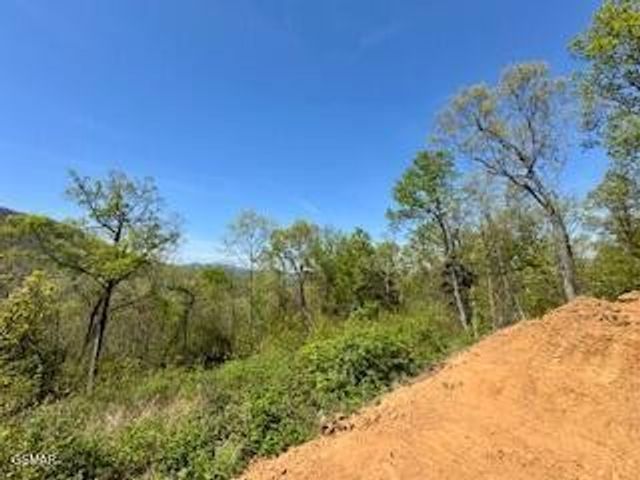 520 Stevia Way, Cosby, TN 37722