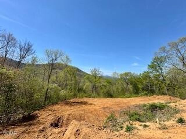 520 Stevia Way, Cosby, TN 37722