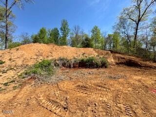 520 Stevia Way, Cosby, TN 37722