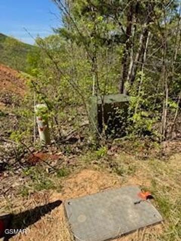 520 Stevia Way, Cosby, TN 37722