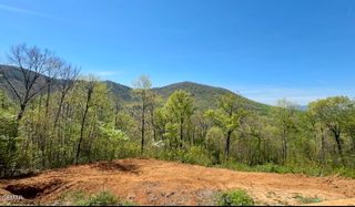 520 Stevia Way, Cosby, TN 37722