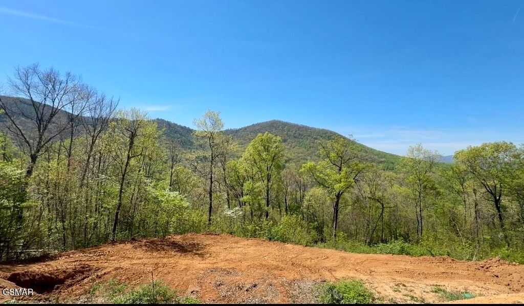 520 Stevia Way, Cosby, TN 37722