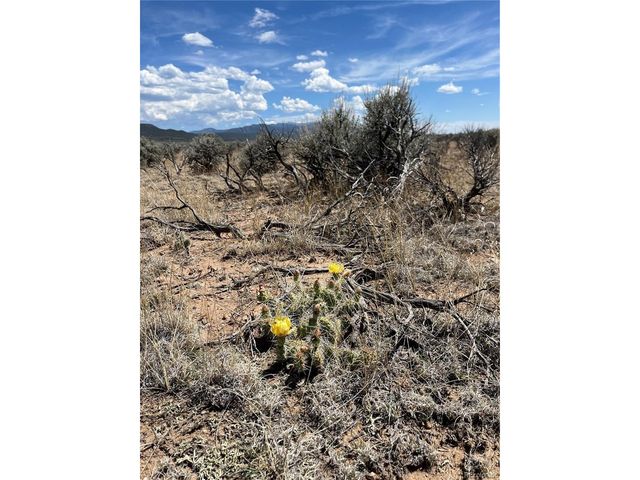20 Peacock Rd, San Luis, CO 81152