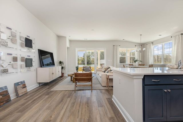 212 Blueberry Fields Ct., Longs, SC 29568