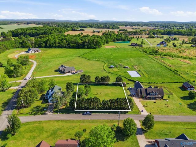 795 Delynn Drive, Hazel Green, AL 35750