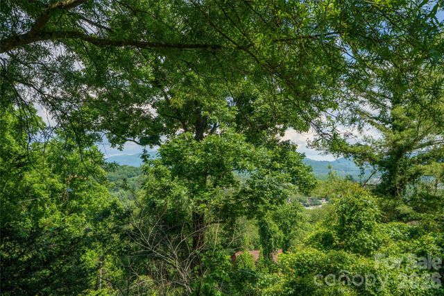 32 Delano Road, Asheville, NC 28805
