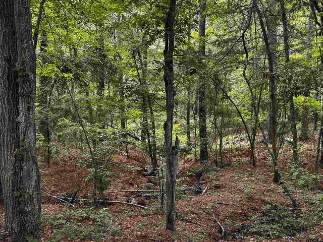 19909 CR 4130, Lindale, TX 75771