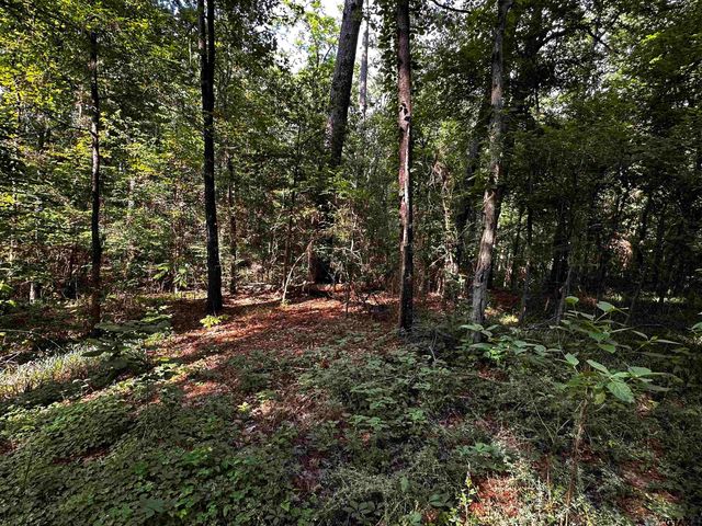 19909 CR 4130, Lindale, TX 75771