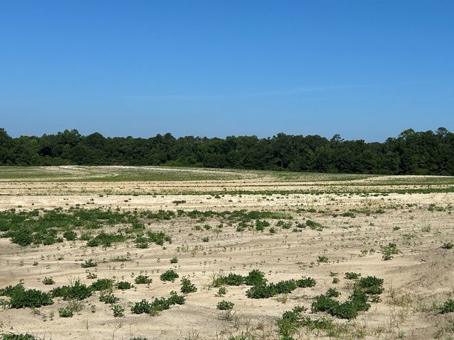 40.522+-ac Cecil Varnum Rd, Dothan, AL 36301