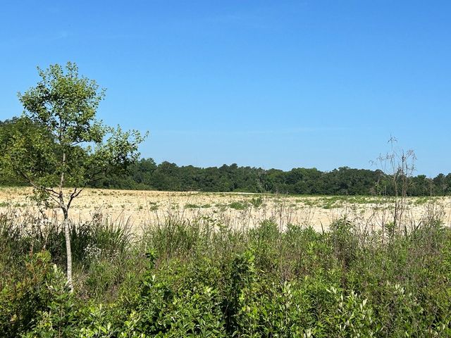 40.522+-ac Cecil Varnum Rd, Dothan, AL 36301