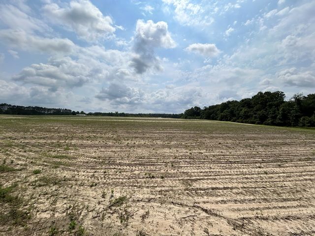 40.522+-ac Cecil Varnum Rd, Dothan, AL 36301