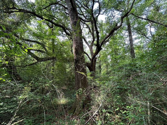 40.522+-ac Cecil Varnum Rd, Dothan, AL 36301