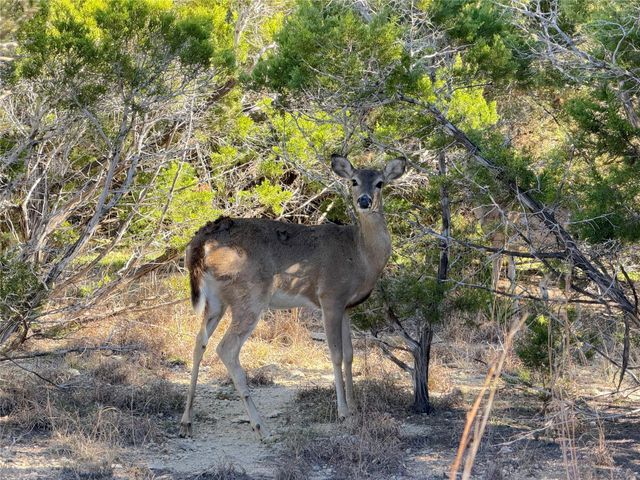 156 Deer Run PASS, Canyon Lake, TX 78133