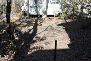 299 Harmony Way, Cosby, TN 37722