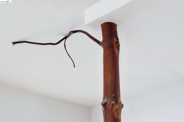 1234 Stannage Ave, Berkeley, CA 94706