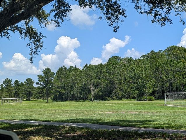 3214 NEEDLEGRASS LANE, Harmony, FL 34773
